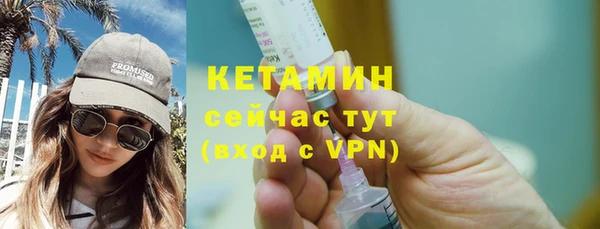 индика Новозыбков