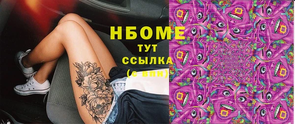 индика Новозыбков