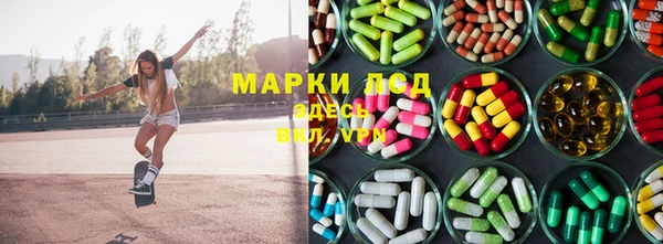 индика Новозыбков