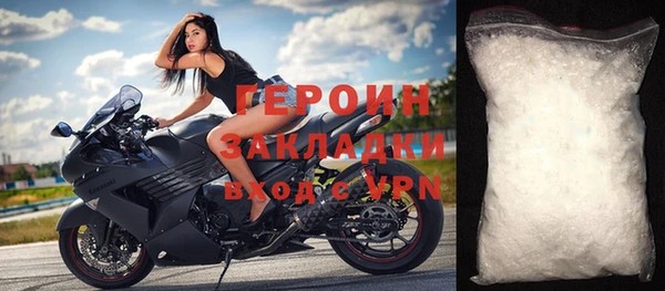индика Новозыбков