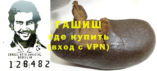 индика Новозыбков
