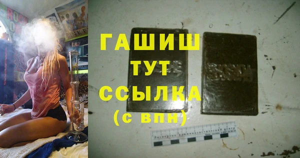 индика Новозыбков